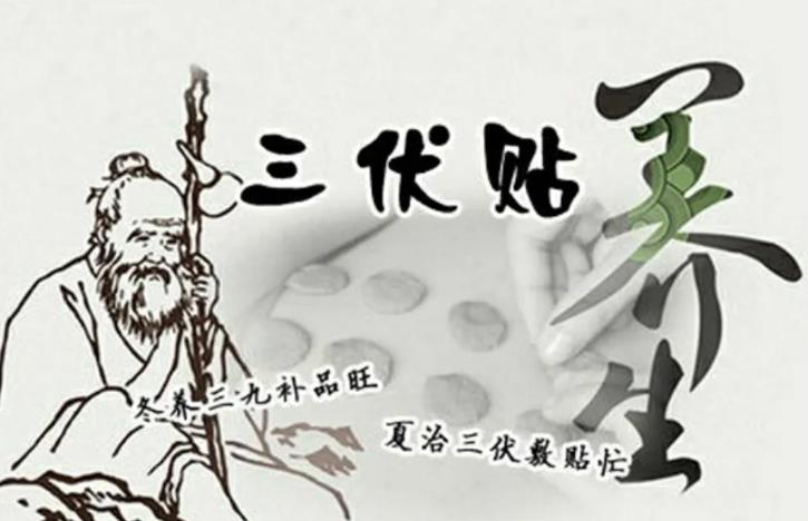 【三伏貼貼敷技巧】一次貼多長時間最佳？全面解析三伏貼正確使用方法。
